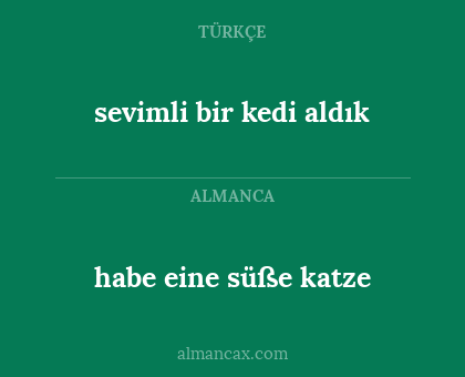 sevimli bir kedi aldık - habe eine süße katze