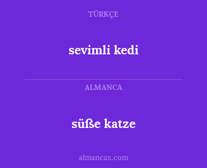 sevimli kedi - süße katze