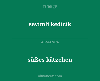süßes kätzchen - sevimli kedicik