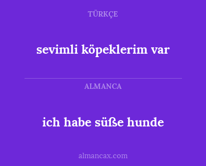 sevimli köpeklerim var - ich habe süße hunde