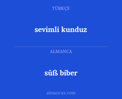 süß biber - sevimli kunduz