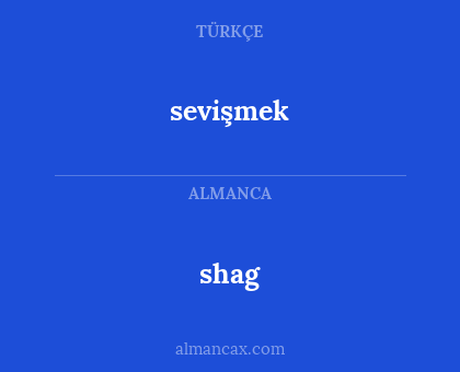 sevişmek - shag