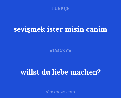 willst du liebe machen? - sevişmek ister misin canim