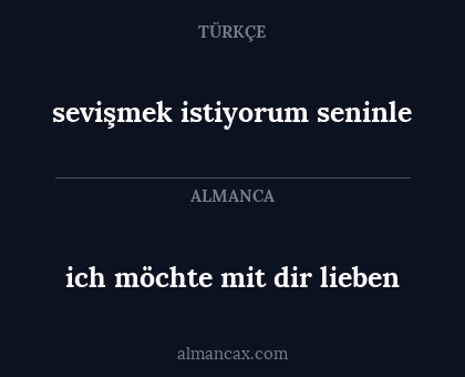 ich möchte mit dir lieben - sevişmek istiyorum seninle