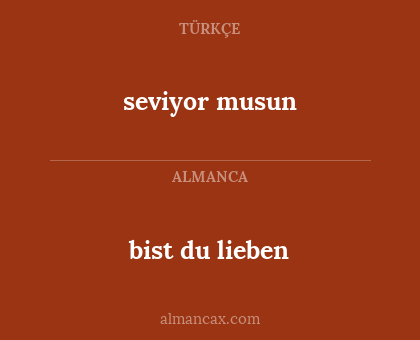 bist du lieben - seviyor musun