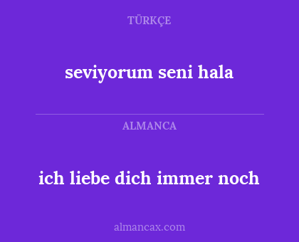 ich liebe dich immer noch - seviyorum seni hala