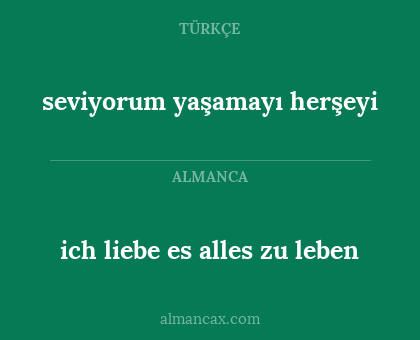 ich liebe es alles zu leben - seviyorum yaşamayı herşeyi