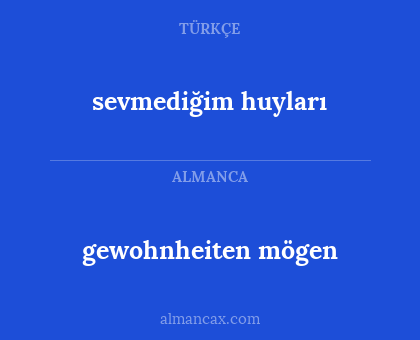gewohnheiten mögen - sevmediğim huyları