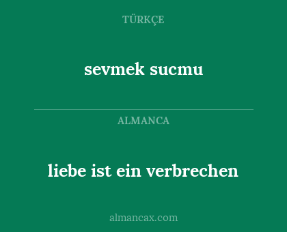 liebe ist ein verbrechen - sevmek sucmu