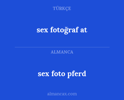 sex foto pferd - sex fotoğraf at