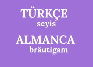 Seyis-br%C3%A4utigam.png