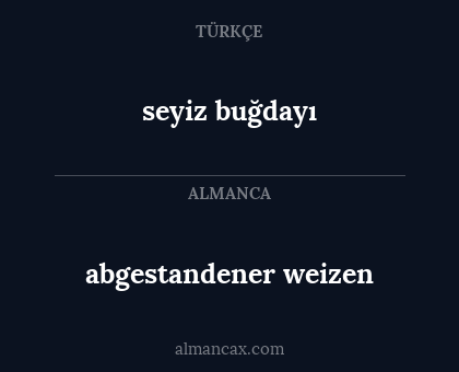 seyiz buğdayı - abgestandener weizen