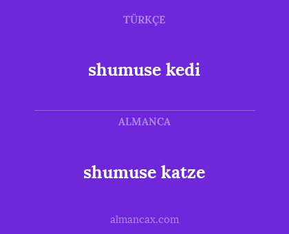 shumuse kedi - shumuse katze