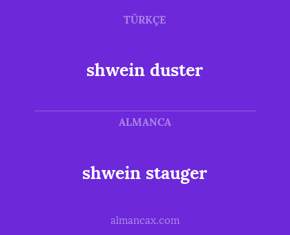 shwein duster - shwein stauger