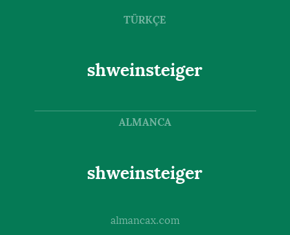 shweinsteiger - shweinsteiger