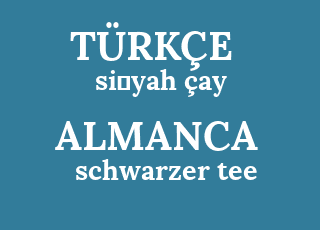si%CC%87yah+%C3%A7ay-schwarzer+tee.png