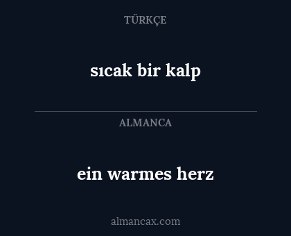 ein warmes herz - sıcak bir kalp