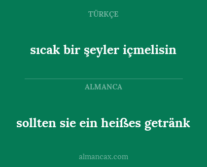 sollten sie ein heißes getränk - sıcak bir şeyler içmelisin
