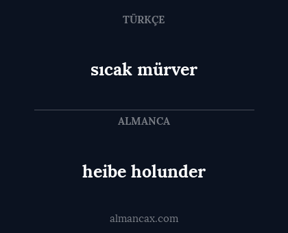 heibe holunder - sıcak mürver
