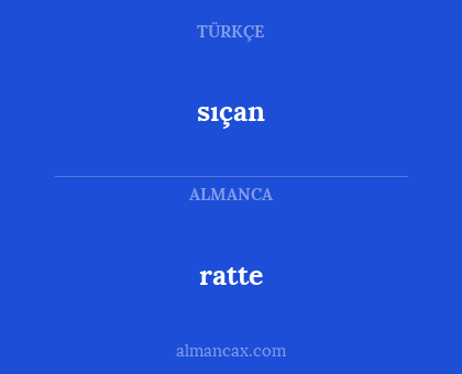 ratte - sıçan