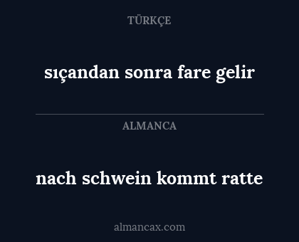 nach schwein kommt ratte - sıçandan sonra fare gelir