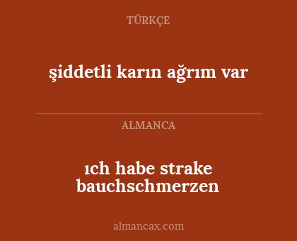 şiddetli karın ağrım var - ıch habe strake bauchschmerzen