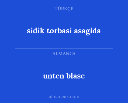 unten blase - sidik torbasi asagida