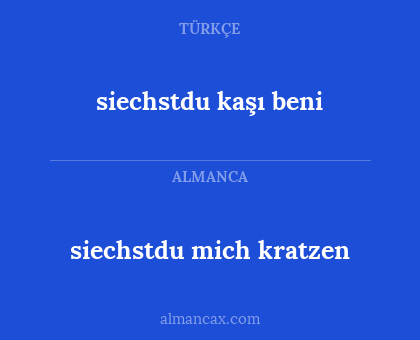 siechstdu mich kratzen - siechstdu kaşı beni