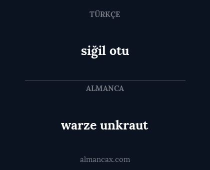 siğil otu - warze unkraut