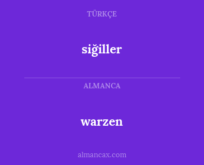 siğiller - warzen