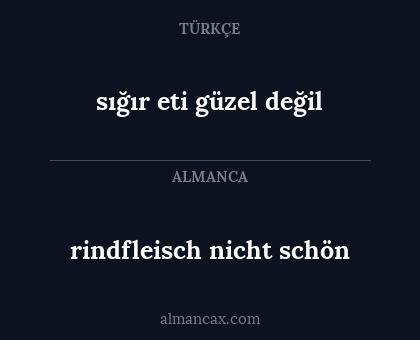 rindfleisch nicht schön - sığır eti güzel değil