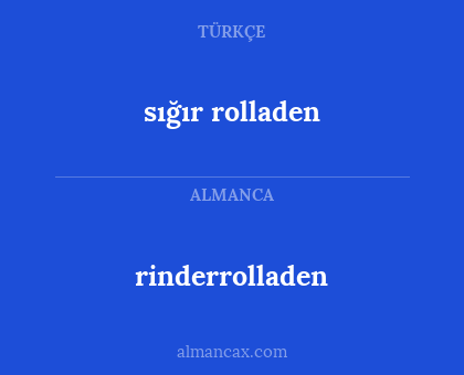 sığır rolladen - rinderrolladen