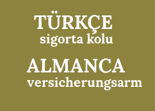Almanca Ceviri Almanca Sigorta Kolu Ne Demek Sigorta Kolu Almancasi