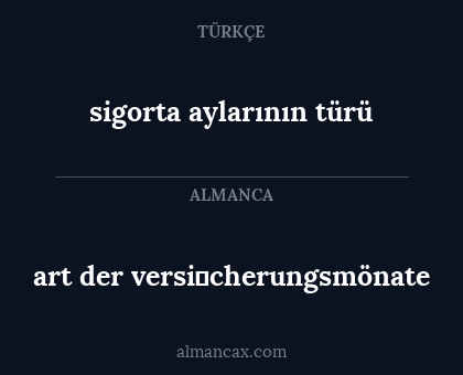 art der versi̇cherungsmönate - sigorta aylarının türü