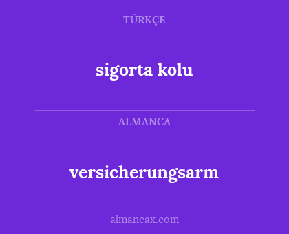 sigorta kolu - versicherungsarm