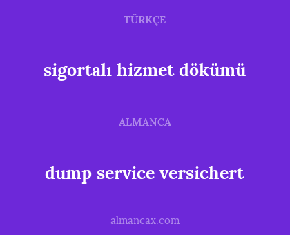 dump service versichert - sigortalı hizmet dökümü