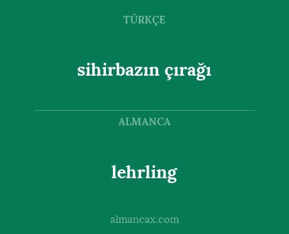 lehrling - sihirbazın çırağı