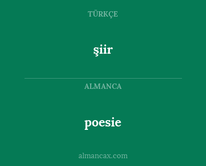 şiir - poesie