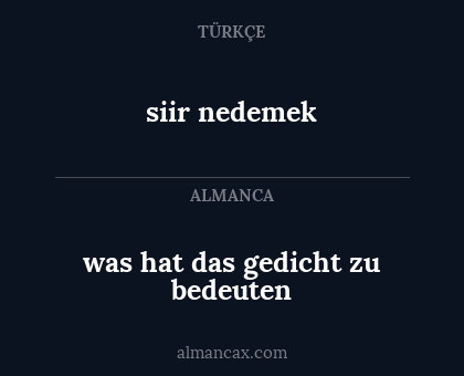 was hat das gedicht zu bedeuten - siir nedemek
