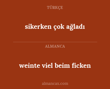 weinte viel beim ficken - sikerken çok ağladı