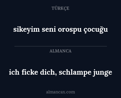 sikeyim seni orospu çocuğu - ich ficke dich, schlampe junge