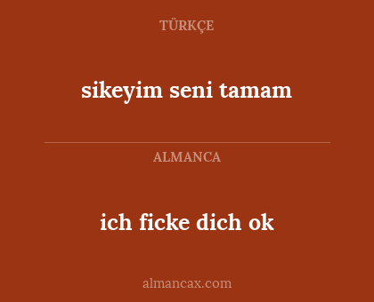 ich ficke dich ok - sikeyim seni tamam