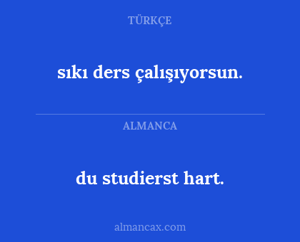 sıkı ders çalışıyorsun. - du studierst hart.
