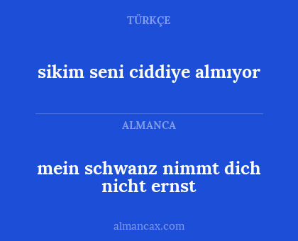 mein schwanz nimmt dich nicht ernst - sikim seni ciddiye almıyor
