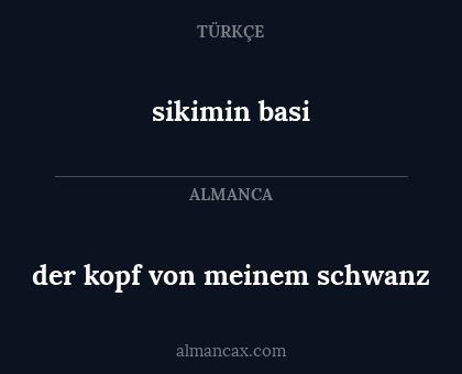 sikimin basi - der kopf von meinem schwanz