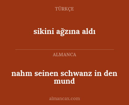 sikini ağzına aldı - nahm seinen schwanz in den mund