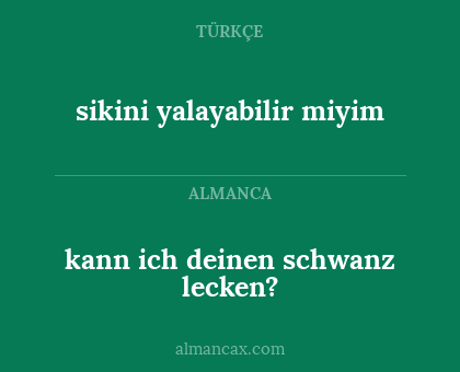 kann ich deinen schwanz lecken? - sikini yalayabilir miyim