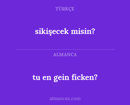 tu en gein ficken? - sikişecek misin?