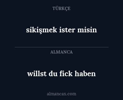 willst du fick haben - sikişmek ister misin