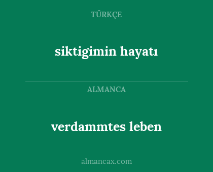 verdammtes leben - siktigimin hayatı